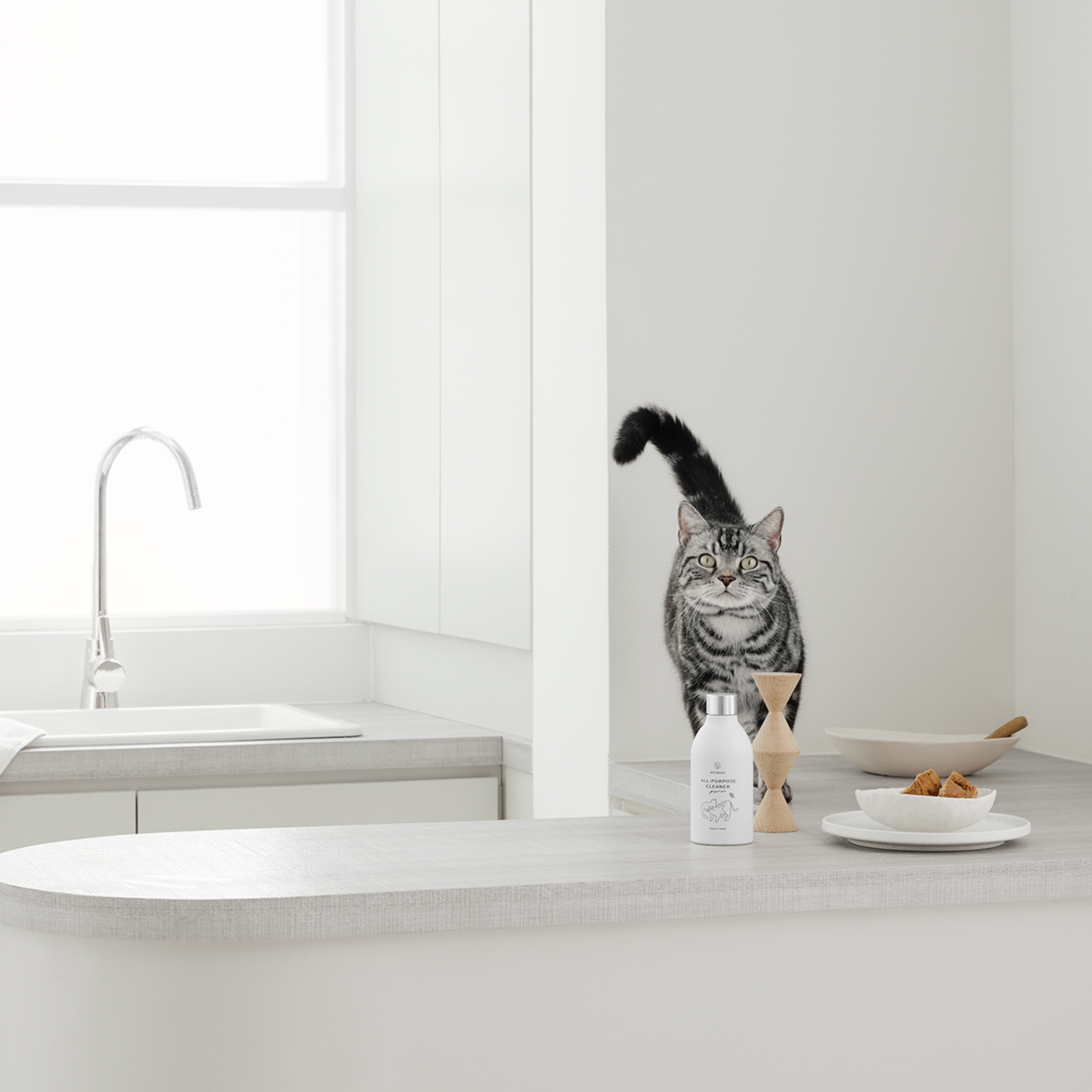 🏆 APOMAN 驅蟲少年® : 居家空間噴霧『貓咪家庭專用』/ 貓咪友善配方 (輕鬆一噴！不用擦拭，就能淨化空間！除臭～) <純貓薄荷成分> #室內淨化 #貓砂除臭 #寵物除臭