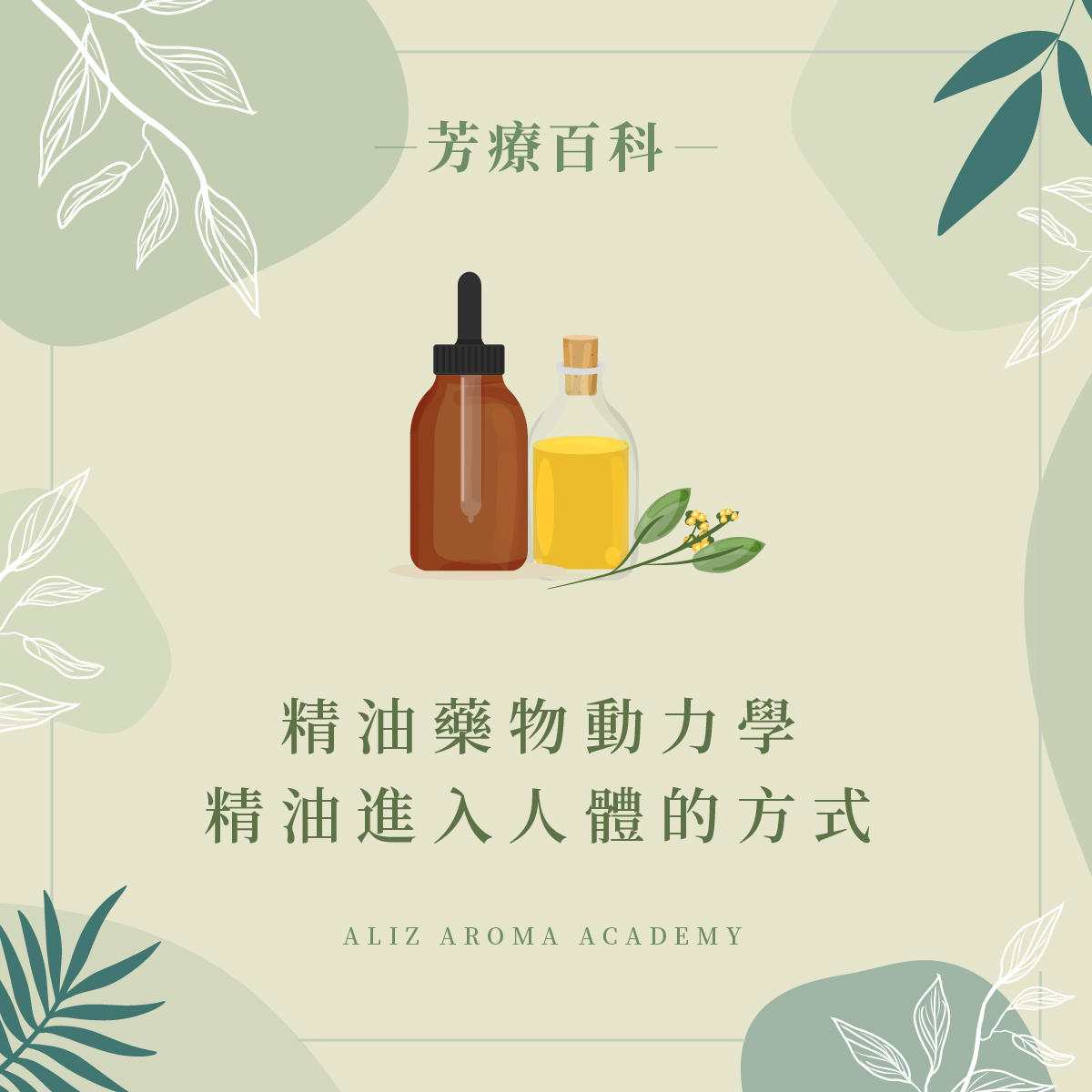 精油藥物動力學－精油進入人體的途徑