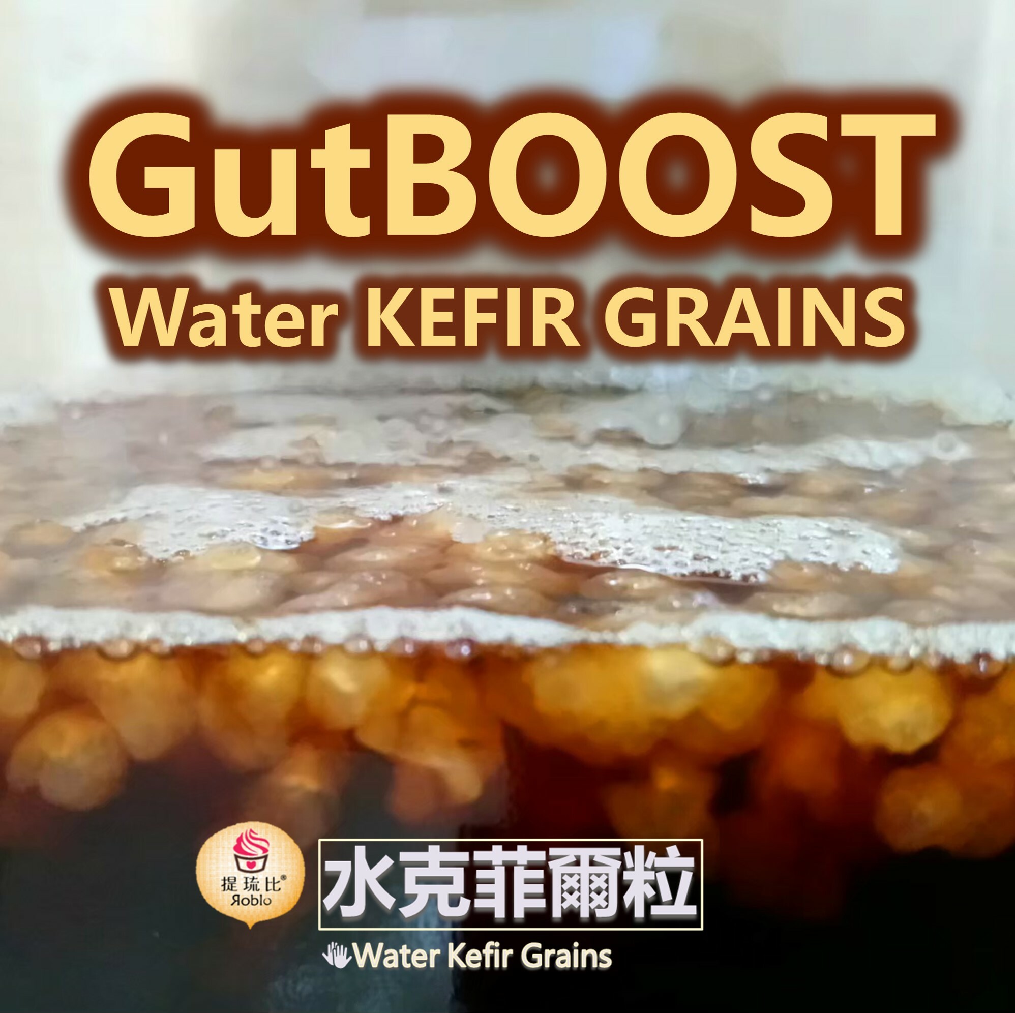 DIY療癒小物! | 水克菲爾粒 Water Kefir Grains | 發酵飲DIY 益生菌種【提琉比_榮譽出品】別稱: 水克，緹比水晶 ，Tibicos，天山雪蓮，太陽菌菇