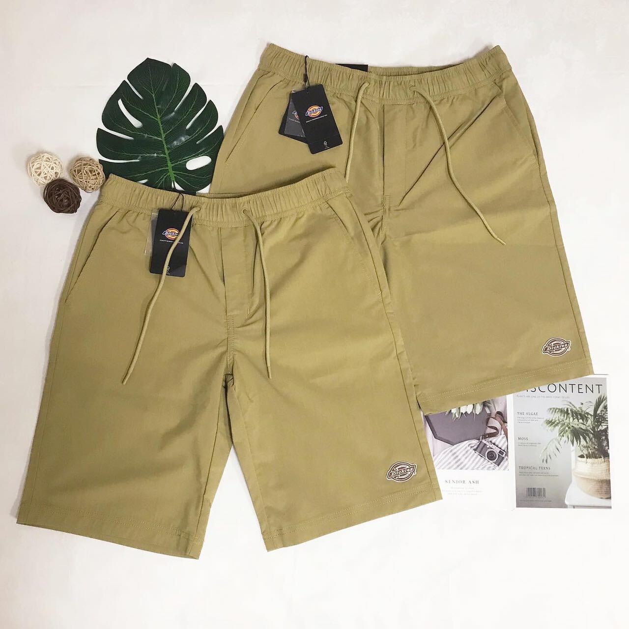 DICKIES POPLIN BRAND LOGO SHORTS