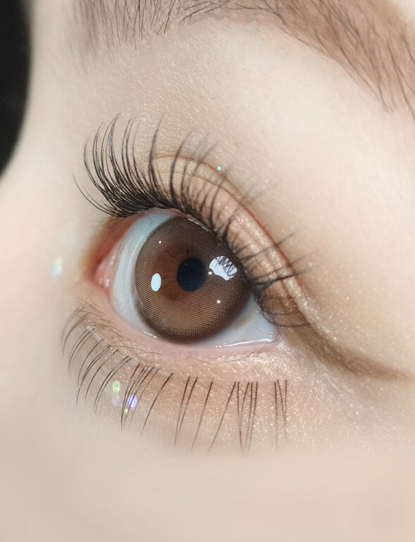 OLOLA 1 Day PURITY SHINE TAUPE Brown [10p/box]