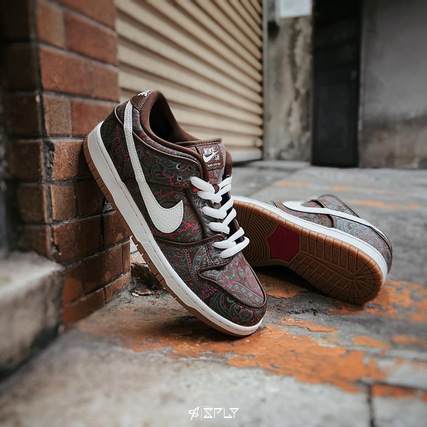 Nike SB Dunk Low Pro Paisley Brown 可可色 變形蟲 DH7534-200