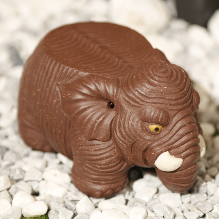 【太平小象】--