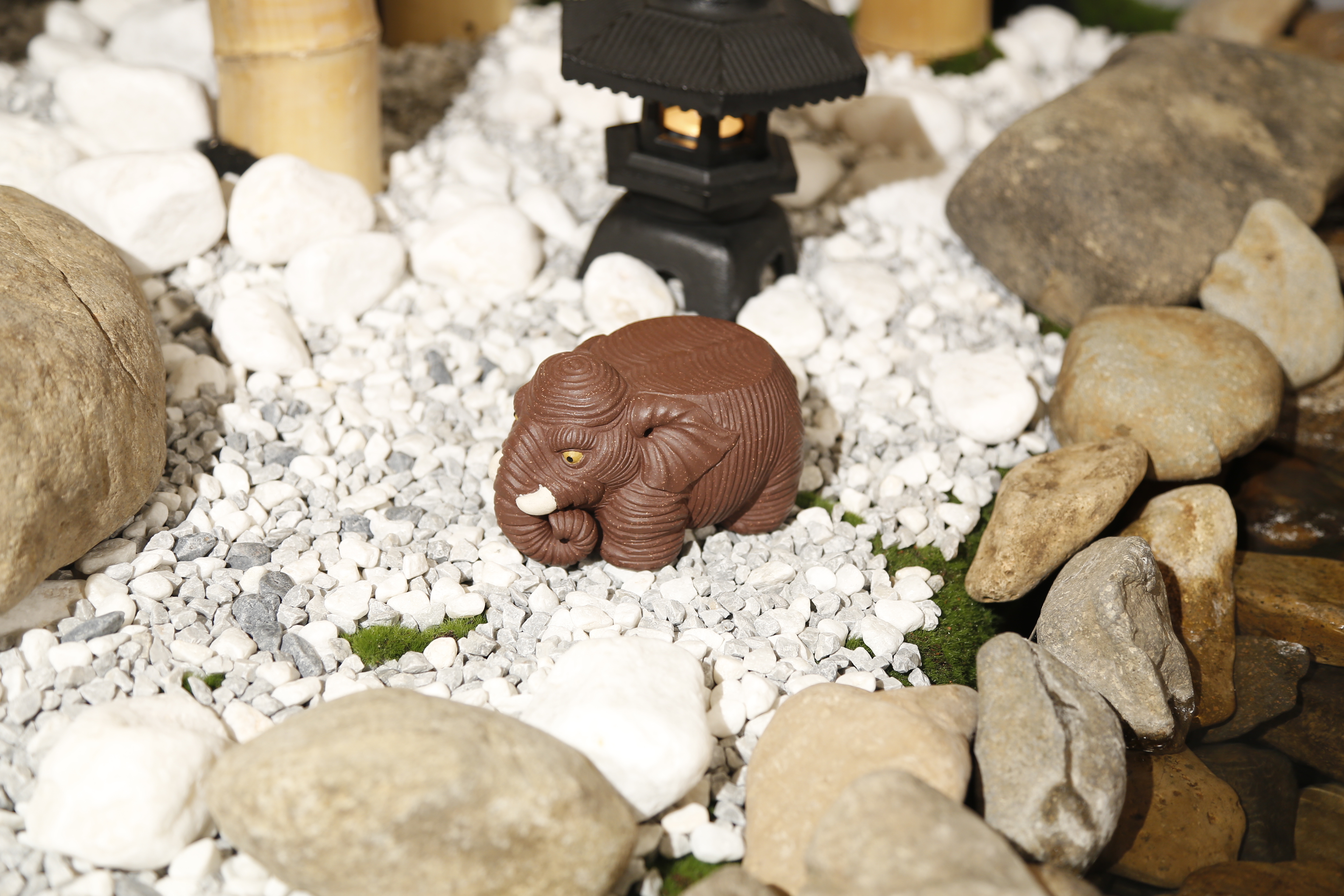 【太平小象】--