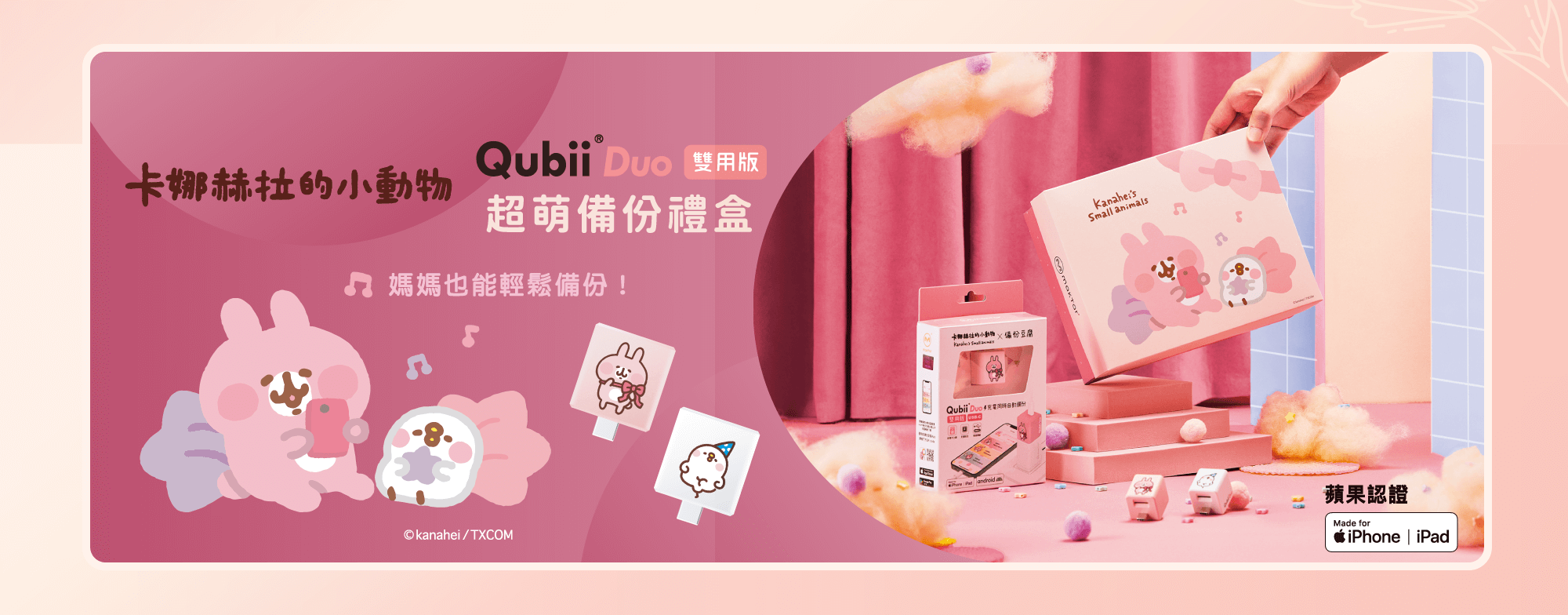 QubiiDuo備份豆腐