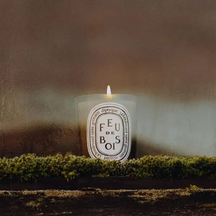 Feu De Bois 炭木香 香氛蠟燭 - Diptyque