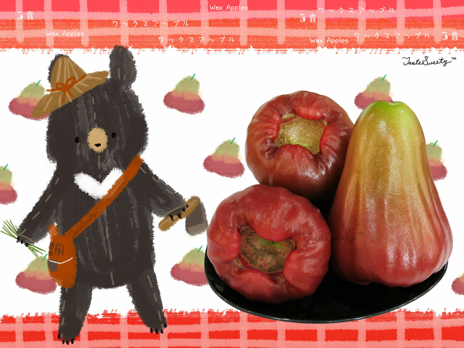 屏東巴掌蓮霧(香水蓮霧)禮盒特級9粒4台斤裝 (約6.8-7.3台兩/粒)