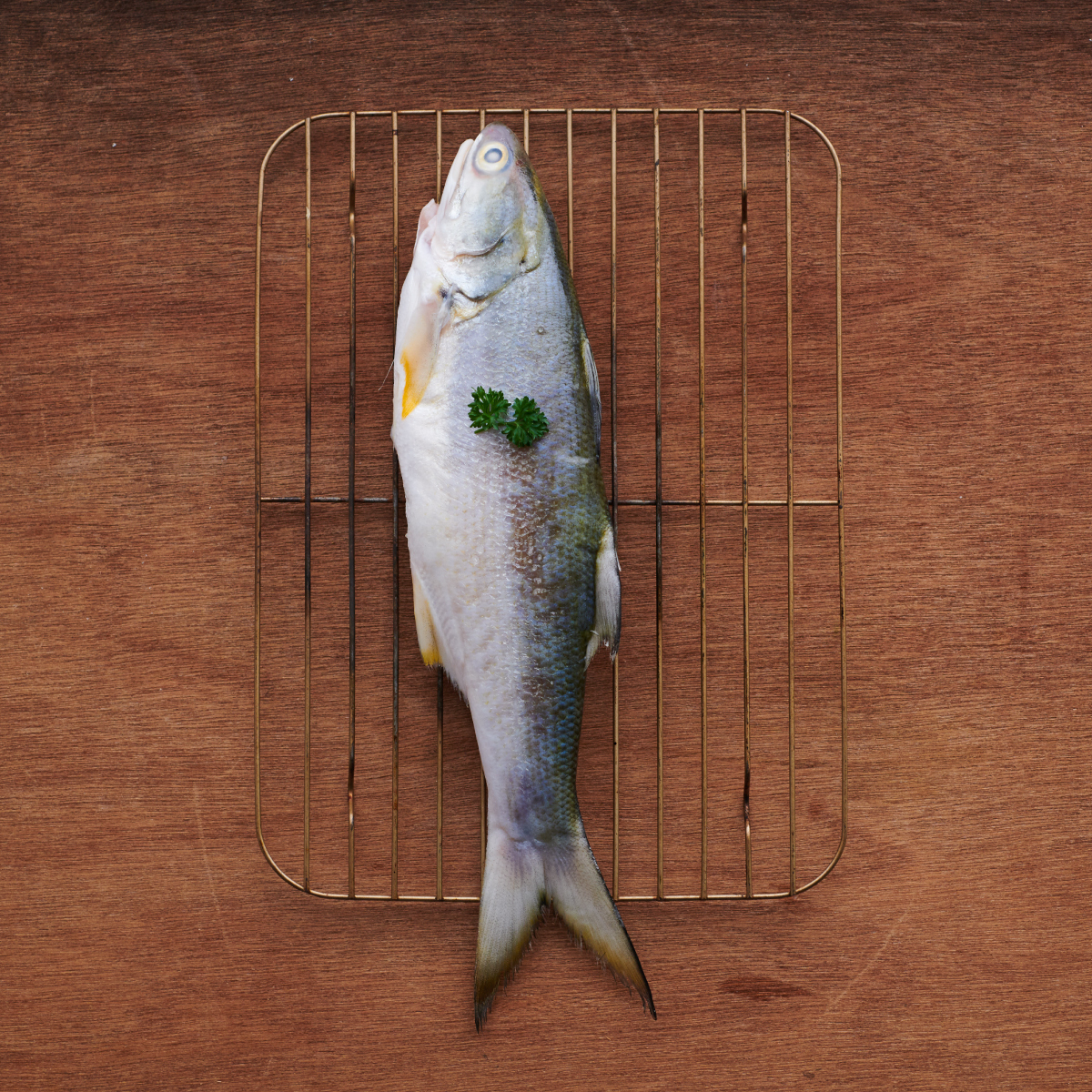 鮮魚-午仔魚 250g