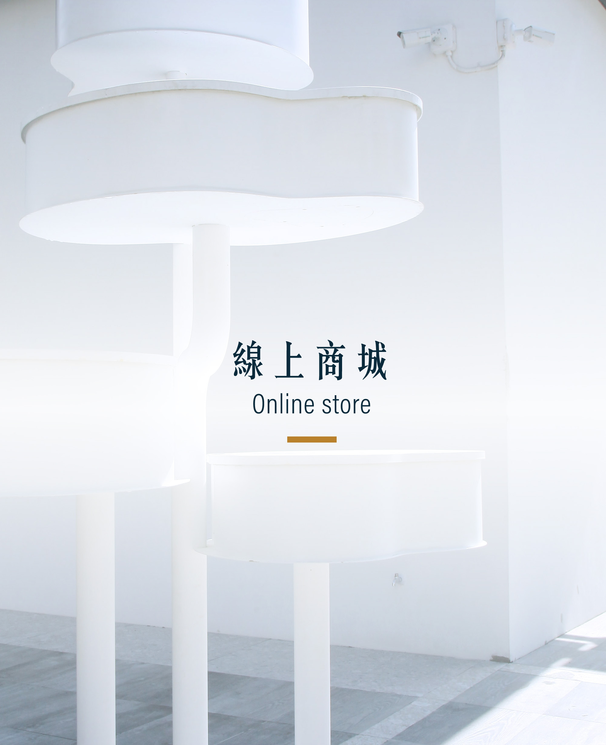 chubby doo 甜甜圈專賣店訂購