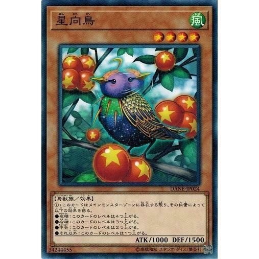 DANE-JP024 星向鳥
