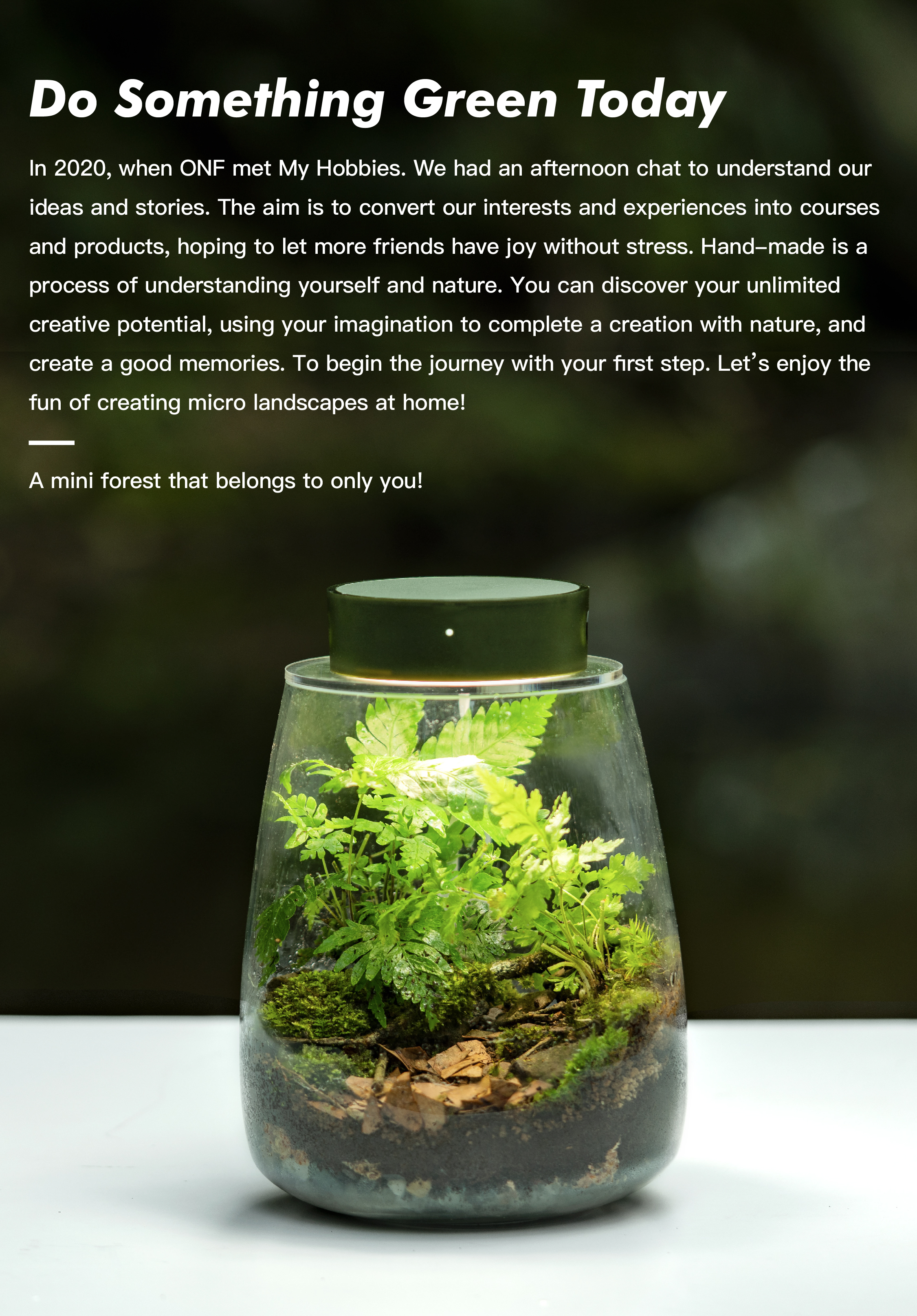 moss-micro-landscape