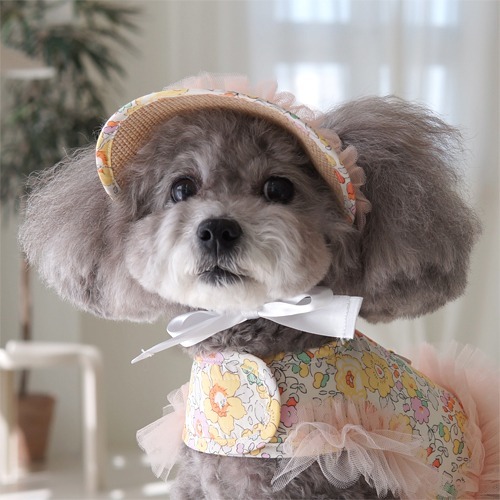 Pawfect Seoul牡丹Liberty系列