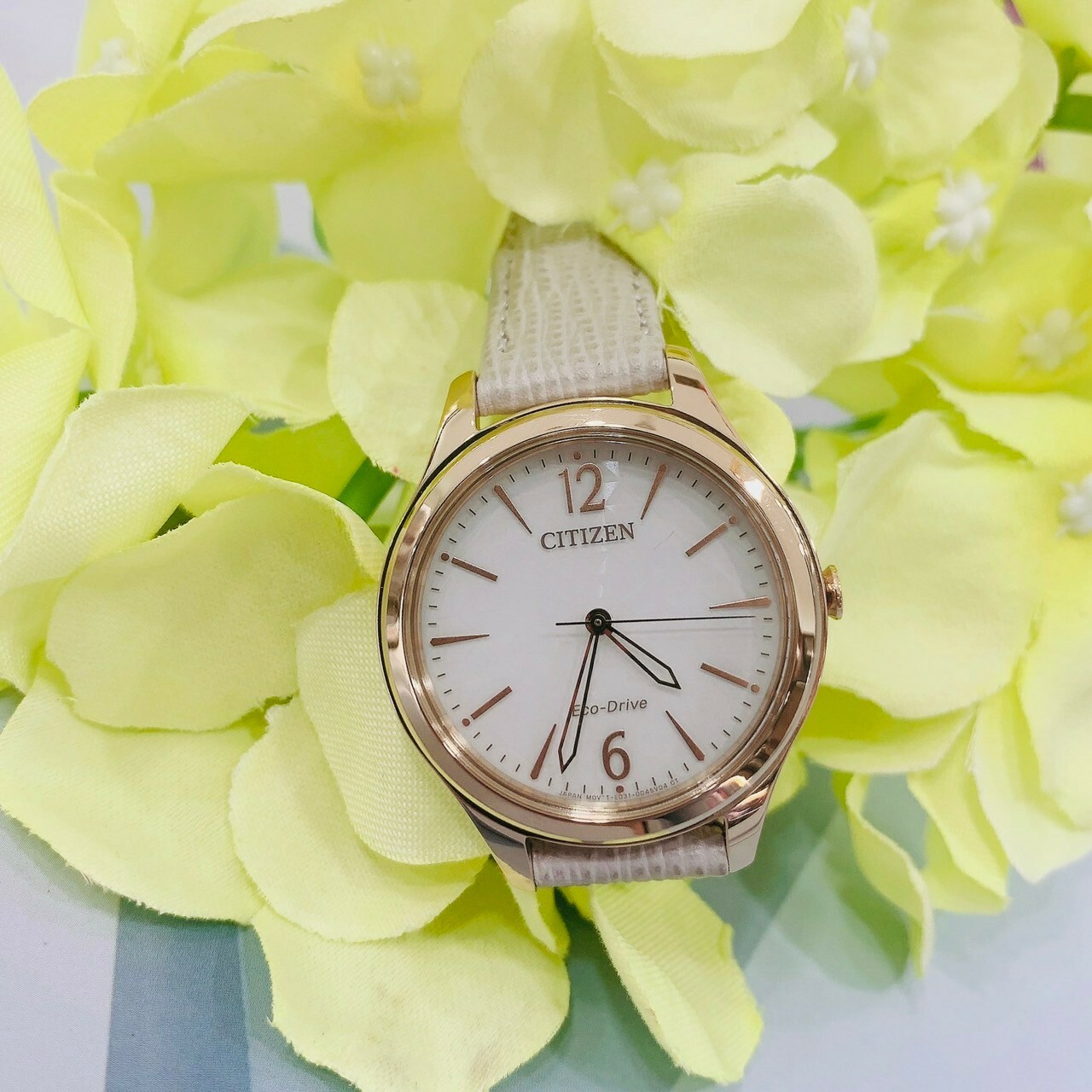 【CITIZEN 星辰】 光動能皮革女錶EM0509-10A 32mm 現代鐘錶