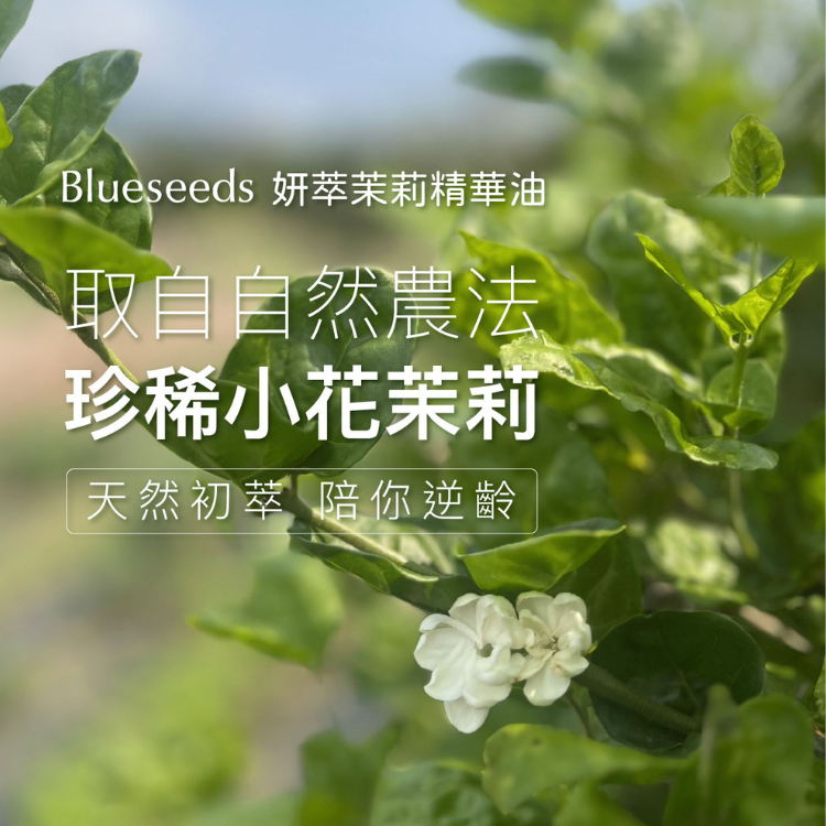 JASIMINE REVITALIZING FACIAL OIL