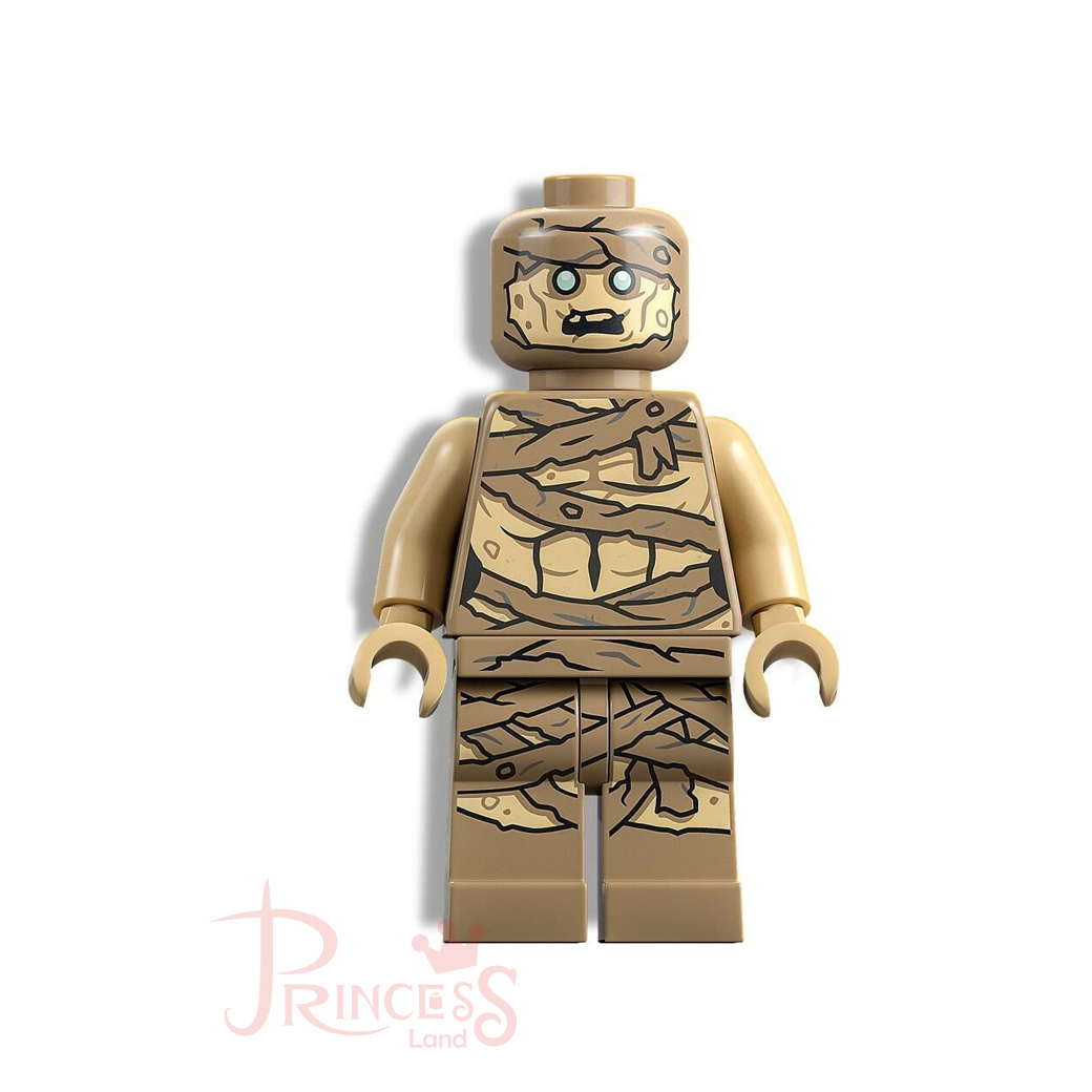 公主樂糕殿 LEGO 樂高 77013 法櫃奇兵 木乃伊 iaj052 A009