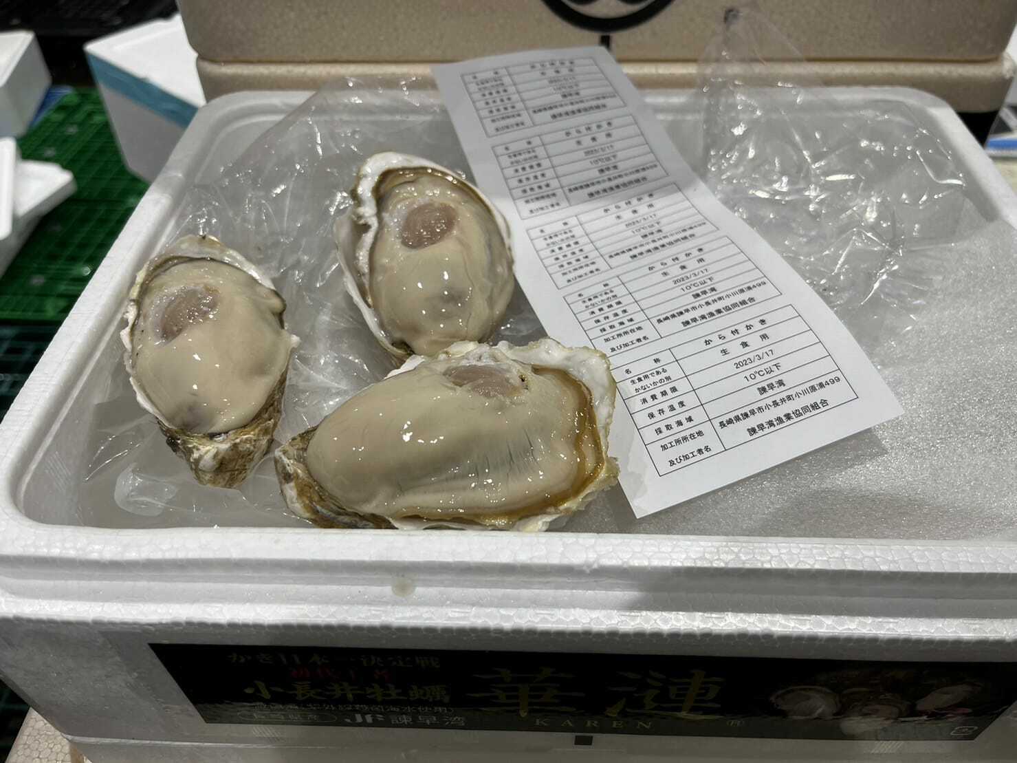 長崎華漣 真蠔 約60-80g/隻