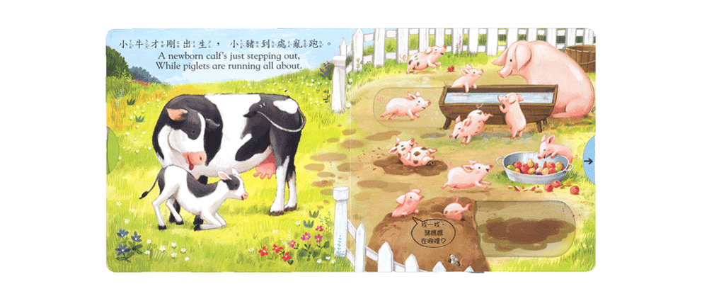 《 上人出版 》 Y31-55 好棒的動物寶寶