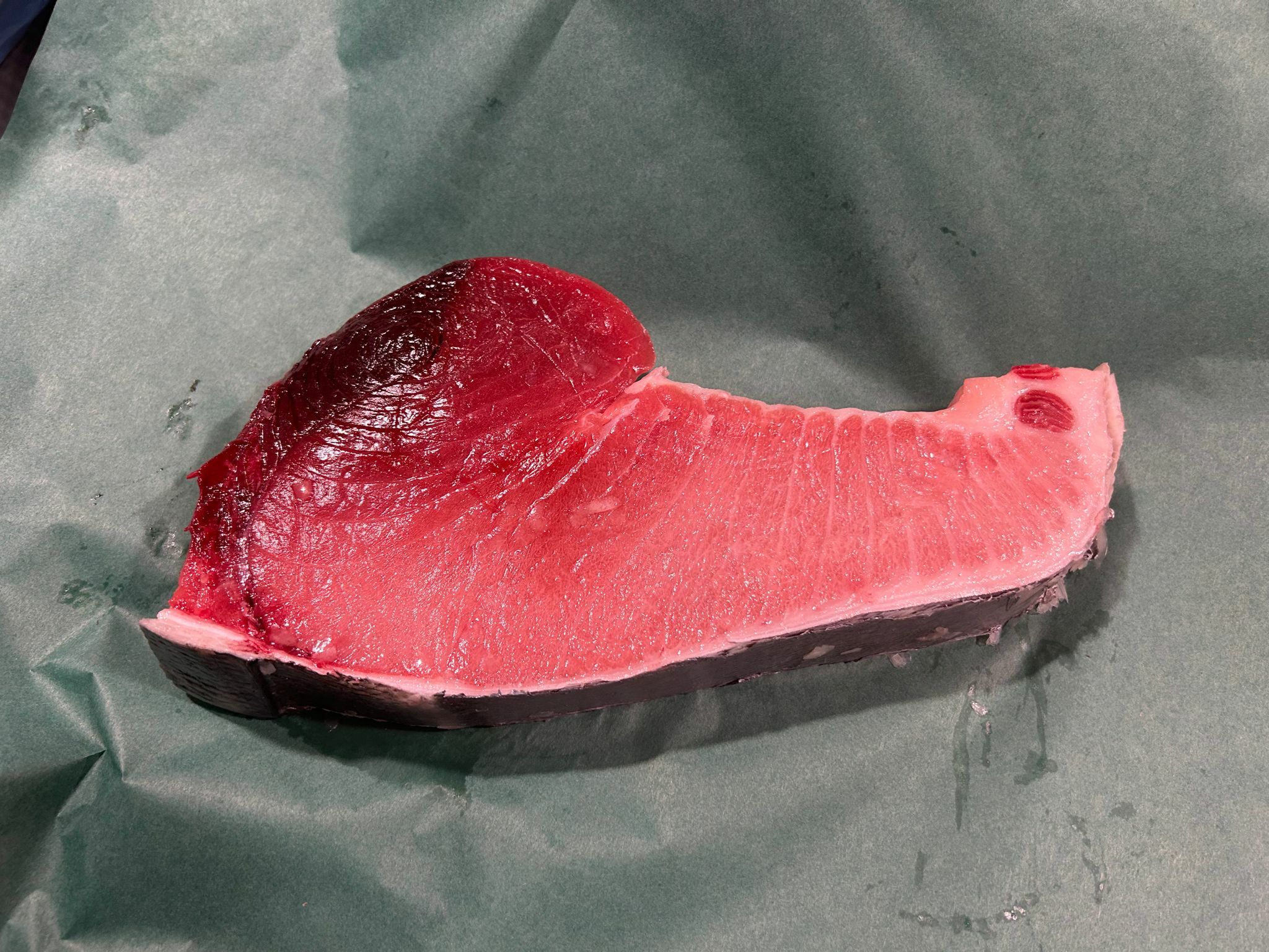 吞拿魚(腹中) 0.8-1.2kg