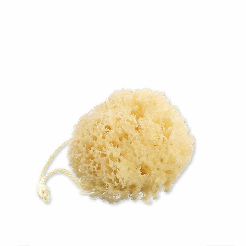 My Natural sponge - ALL WET