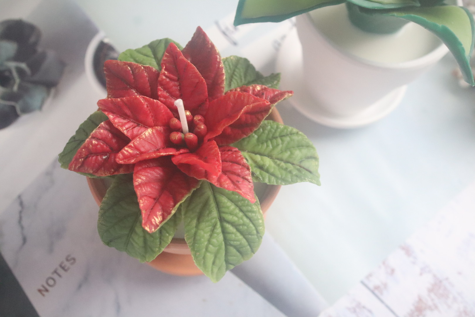 韓國 CLAB 植物盆栽蠟燭證書課程
