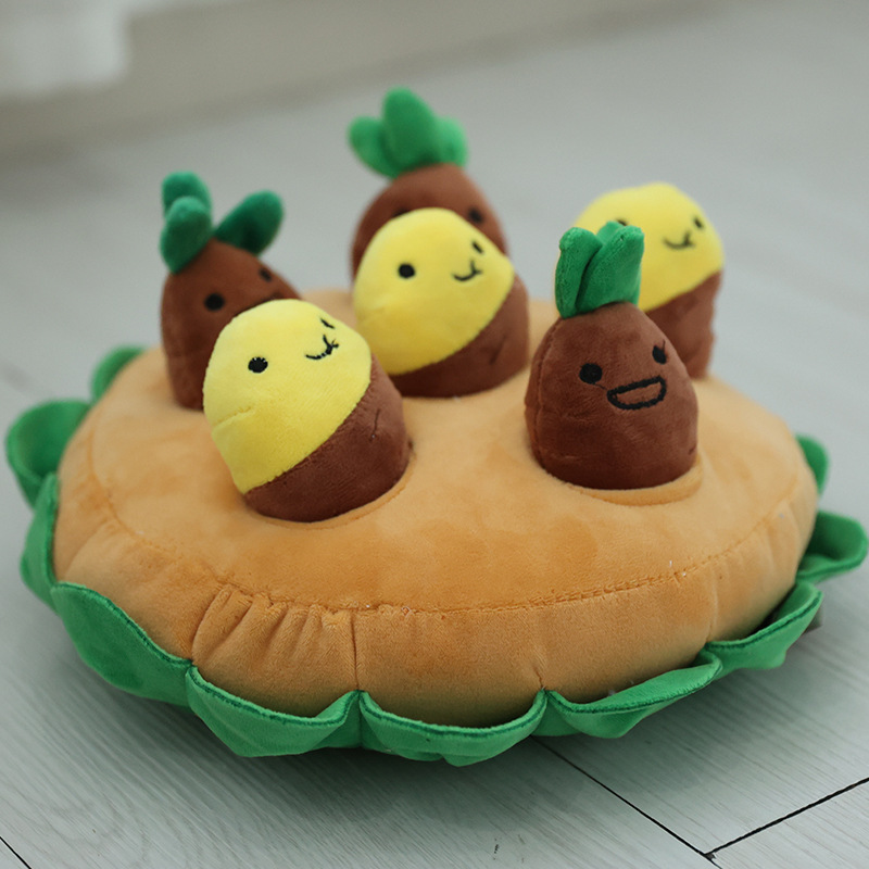 宠物玩具 益智玩具套装 萝卜，黄梨，草莓