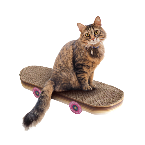 口愛貓抓第二彈 - Sk8er Boi 滑板造型貓抓板