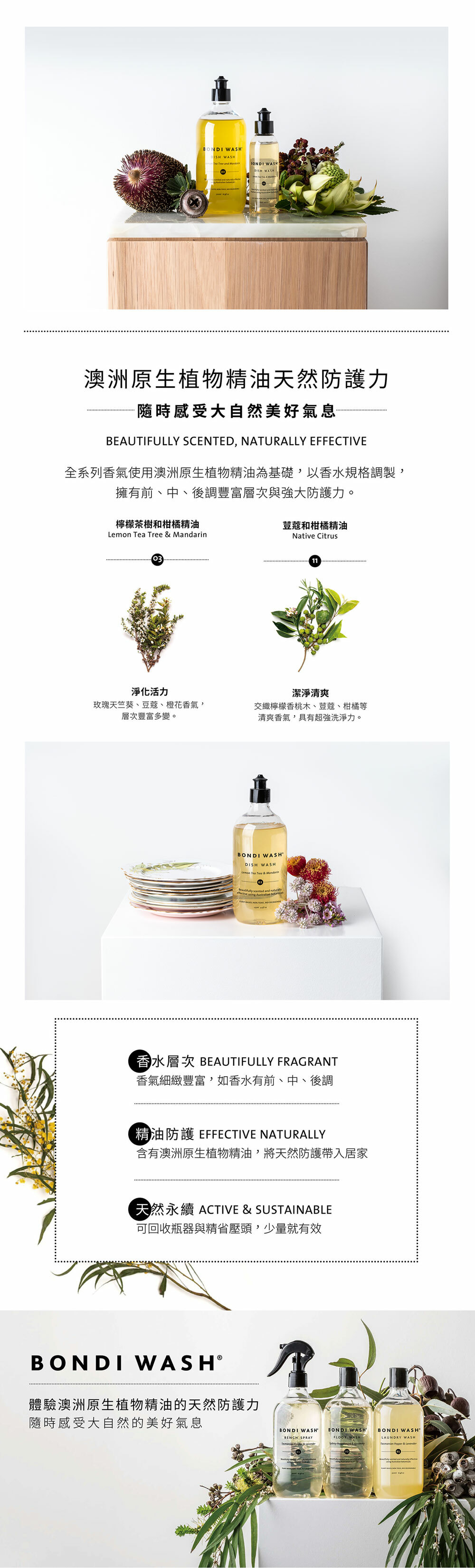 BONDI WASH 檸檬茶樹及柑橘碗盤清潔液 BONDI WASH 檸檬茶樹及柑橘碗盤清潔液
