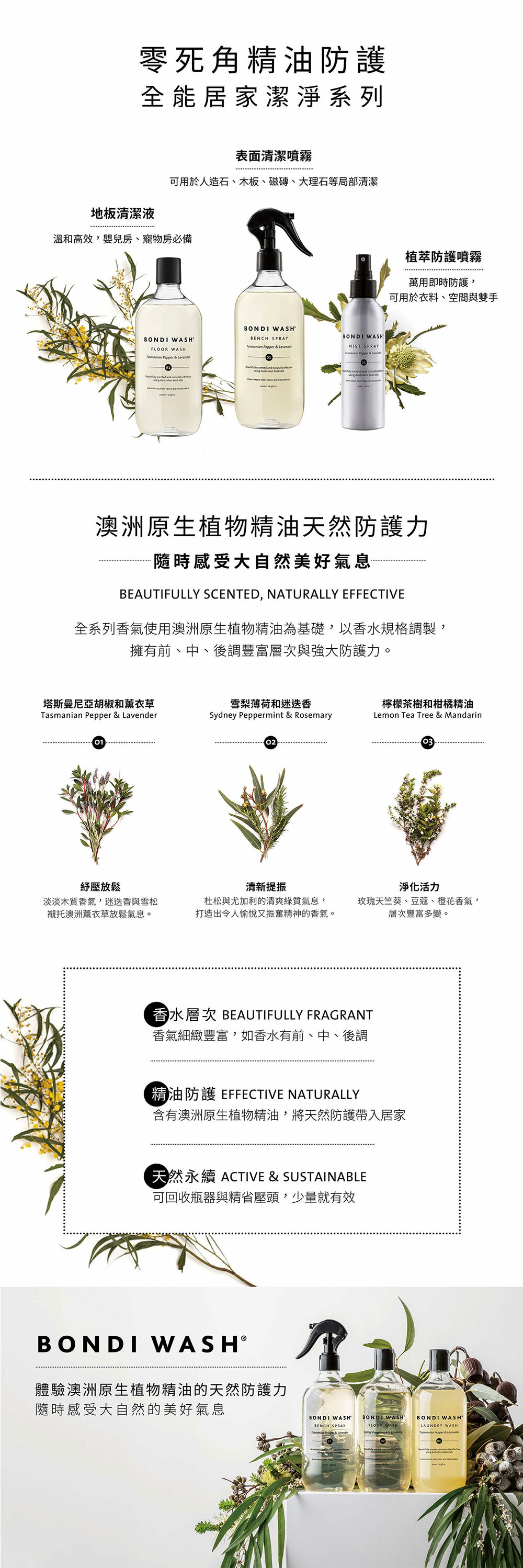 BONDI WASH 檸檬茶樹及柑橘地板清潔液 BONDI WASH 檸檬茶樹及柑橘地板清潔液