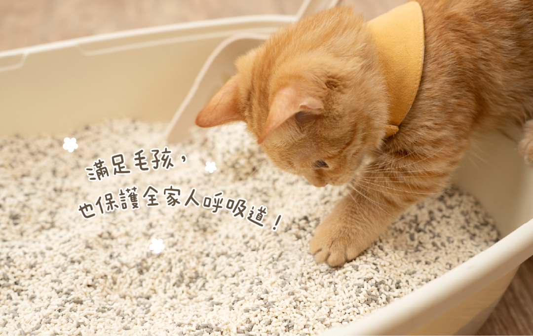 汪喵星球貓砂-豆腐砂-幼貓貓砂