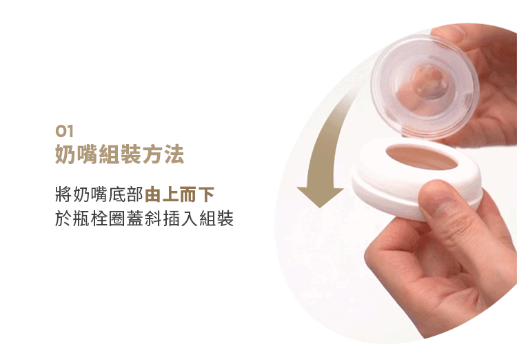 韓國 Moyuum - 仿母乳型替換奶嘴 (2入/組)-8m+