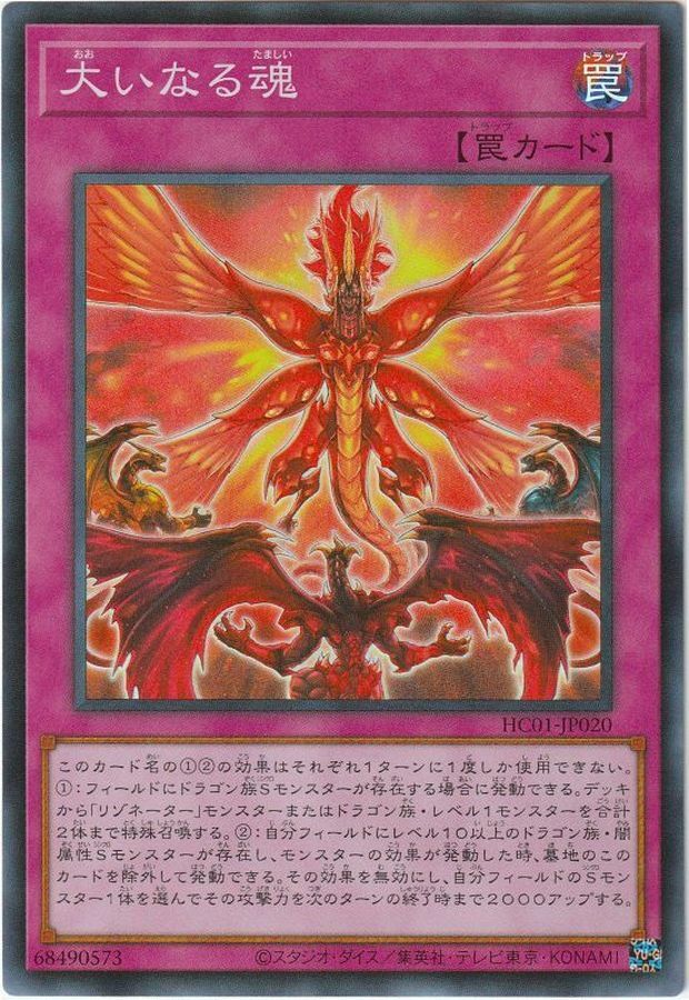 HC01-JP020 大いなる魂