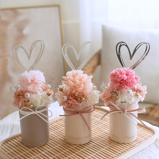 簡約愛心單朵康乃馨盆花