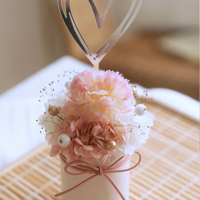 簡約愛心單朵康乃馨盆花