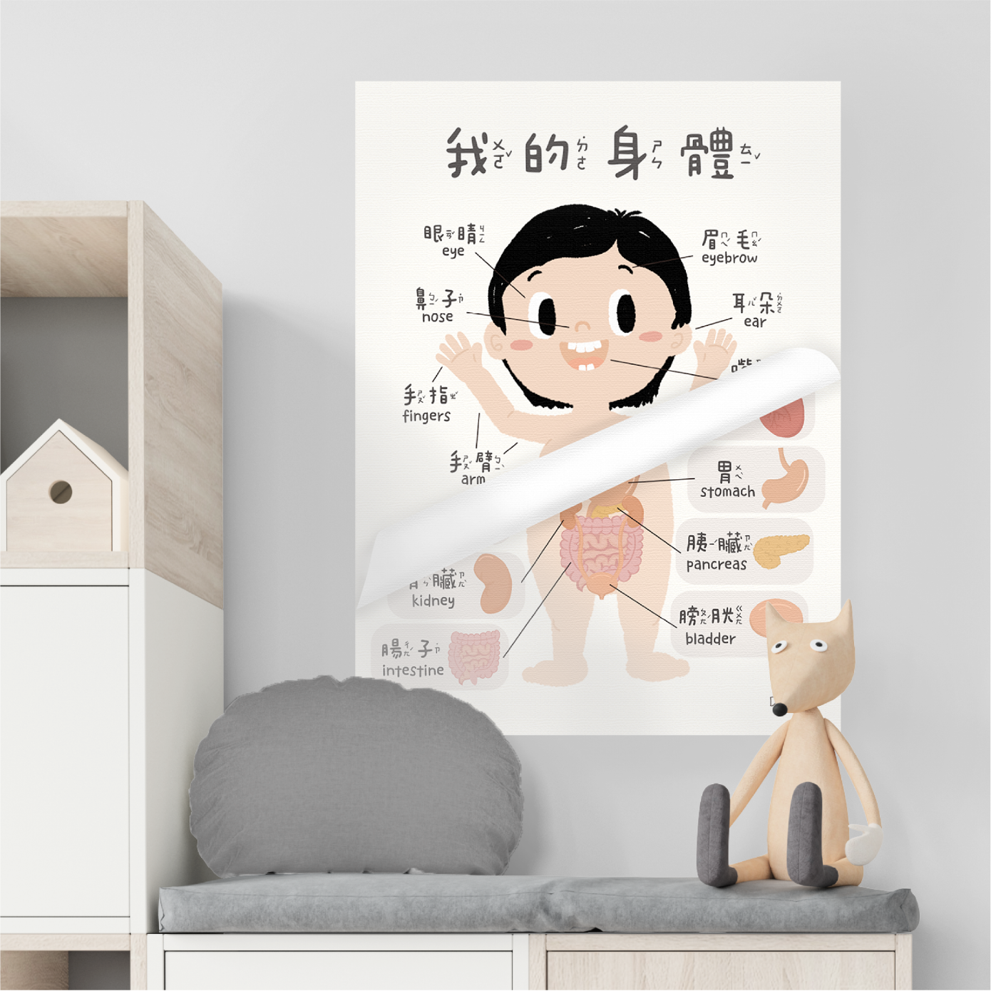 認識身體二合一掛布