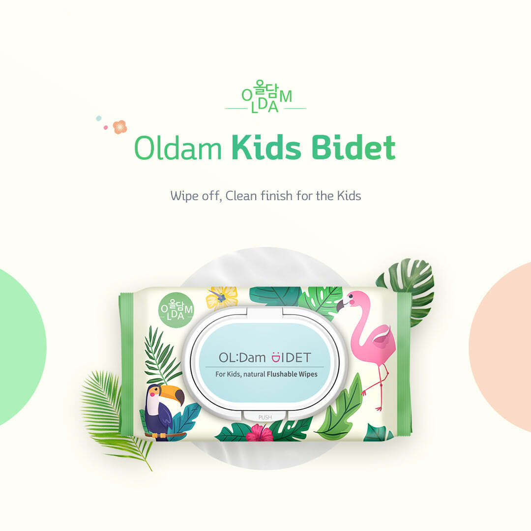 【OLDAM-BIDET】可沖馬桶濕紙巾 (幼童專用-有蓋型x70張) -舒爽乾淨-