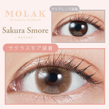 [防UV] MOLAK 1 DAY Sakura Smore 日拋彩妝隱形眼鏡｜每盒10片