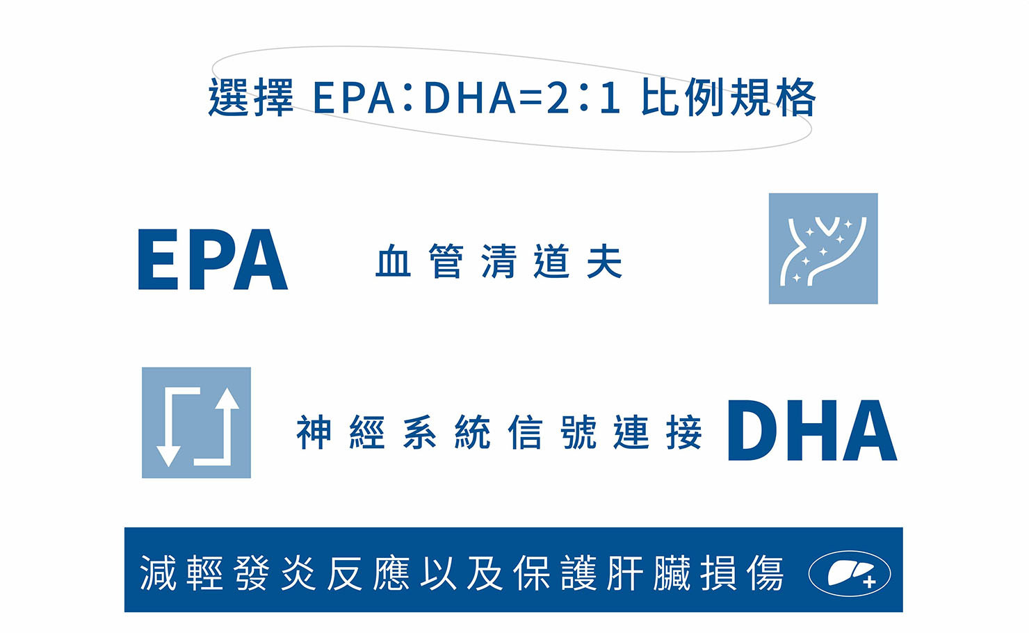 ”EPA=血管清道夫，DHA=活絡思緒，黃金比例是EPA:DHA=2:1