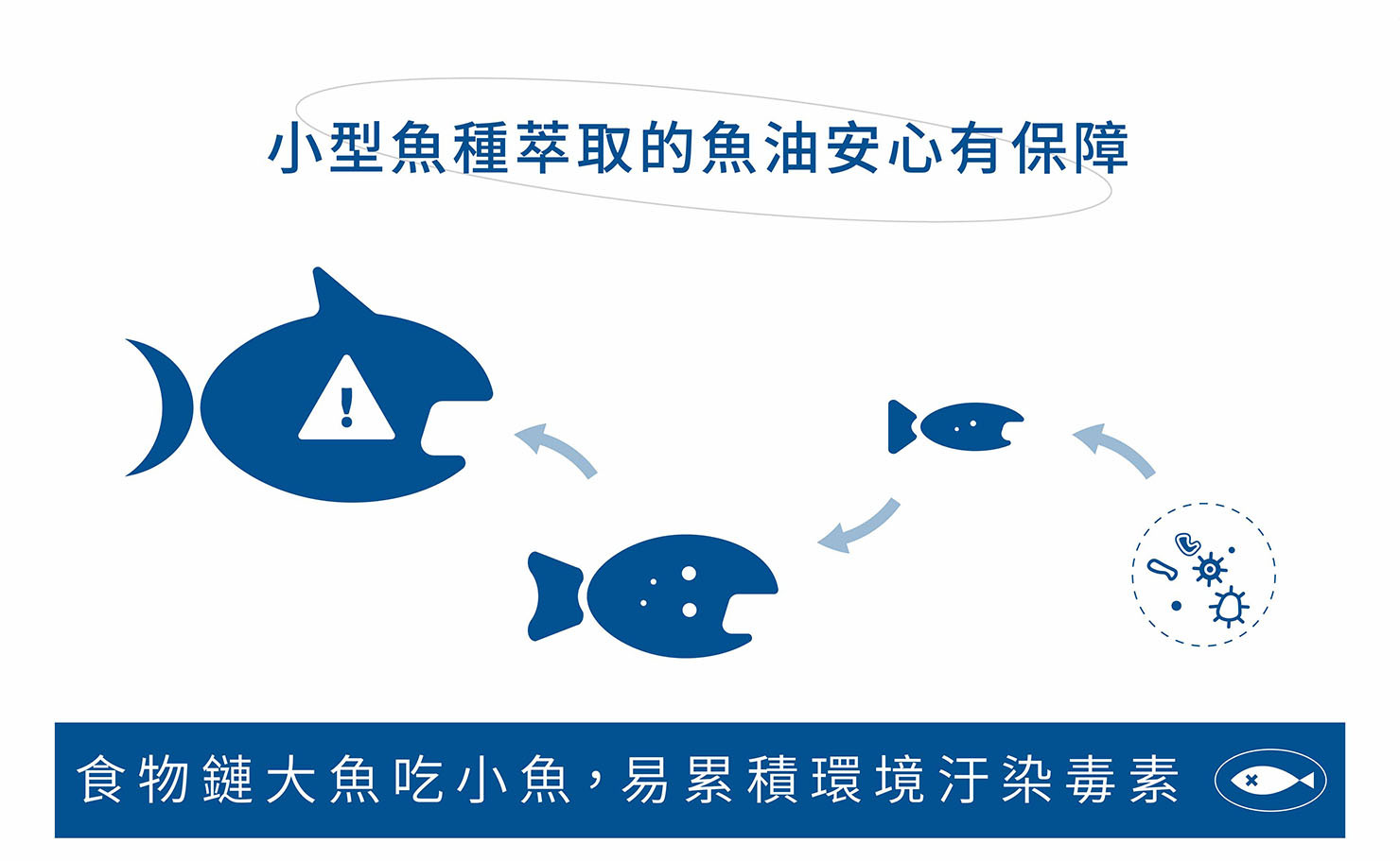 ”盡量挑選小型魚種萃取而來的魚油，例如：沙丁魚、鰹魚、鯖魚、鯷魚等小型魚種，可降低環境污染的毒素因子”/