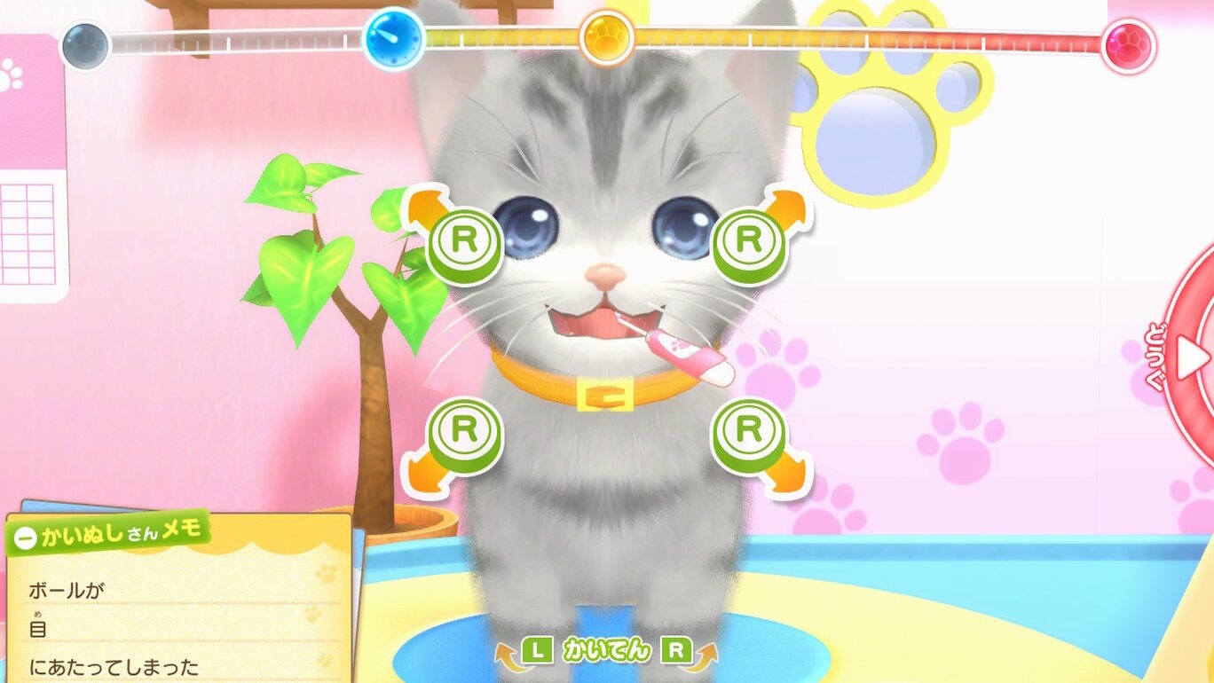 NS 汪汪喵喵動物醫院 拯救寵物的重要工作 中文版