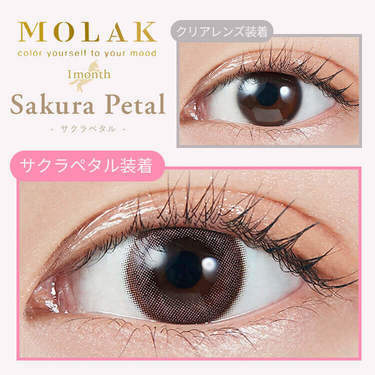 [月拋] MOLAK 1 MONTH SAKURA PETAL 月拋彩妝隱形眼鏡｜每盒2片