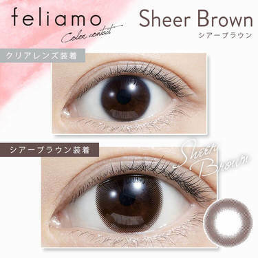 [防UV] feliamo 1 Day Sheer Brown 日拋彩妝隱形眼鏡｜每盒10片