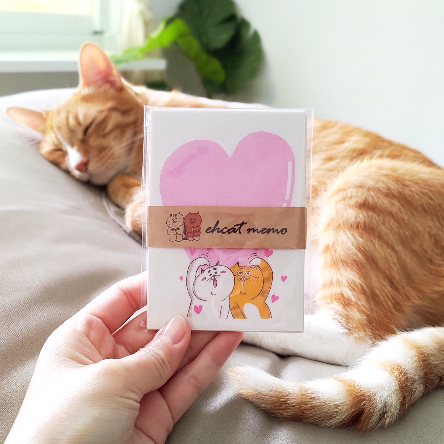 【ehcat貓室友】小弟老背便箋