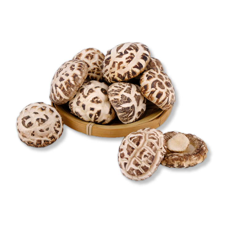 【海王牌】南韓天白花菇