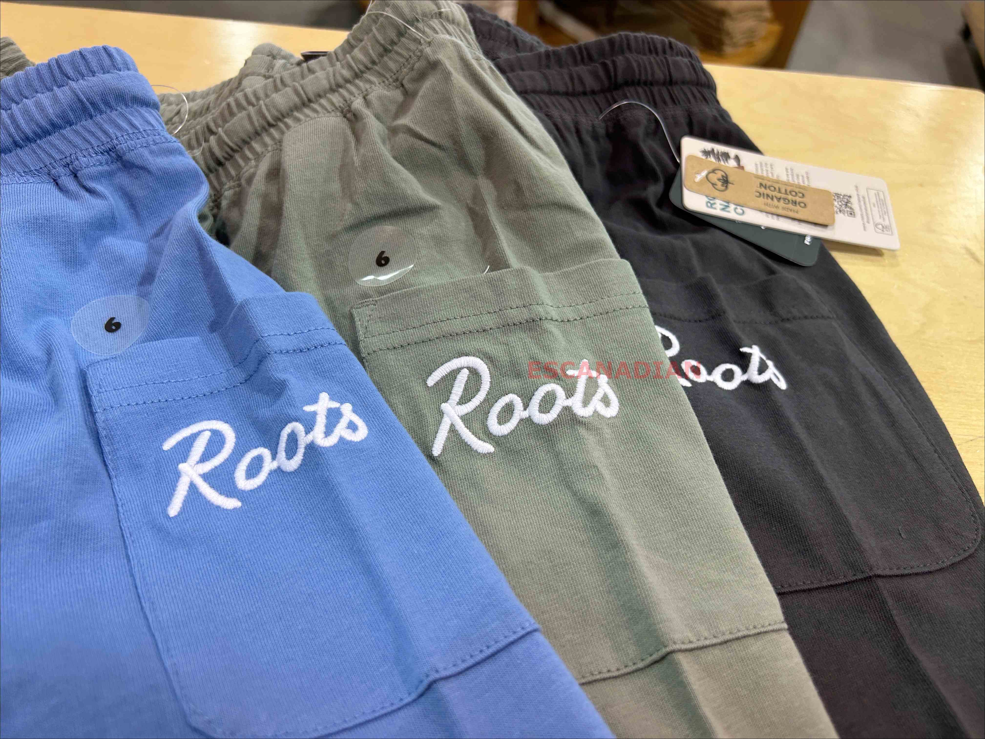 ROOTS 男大童 大自然俱樂部 電繡字樣 口袋 棉短褲 (3色)