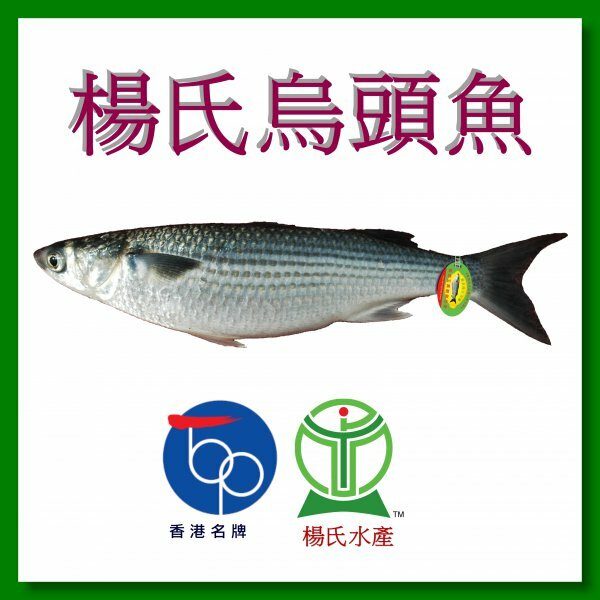 Local Special Offer: IQF Yeung’s Accredited Grey Mullet (With Scales) 400g