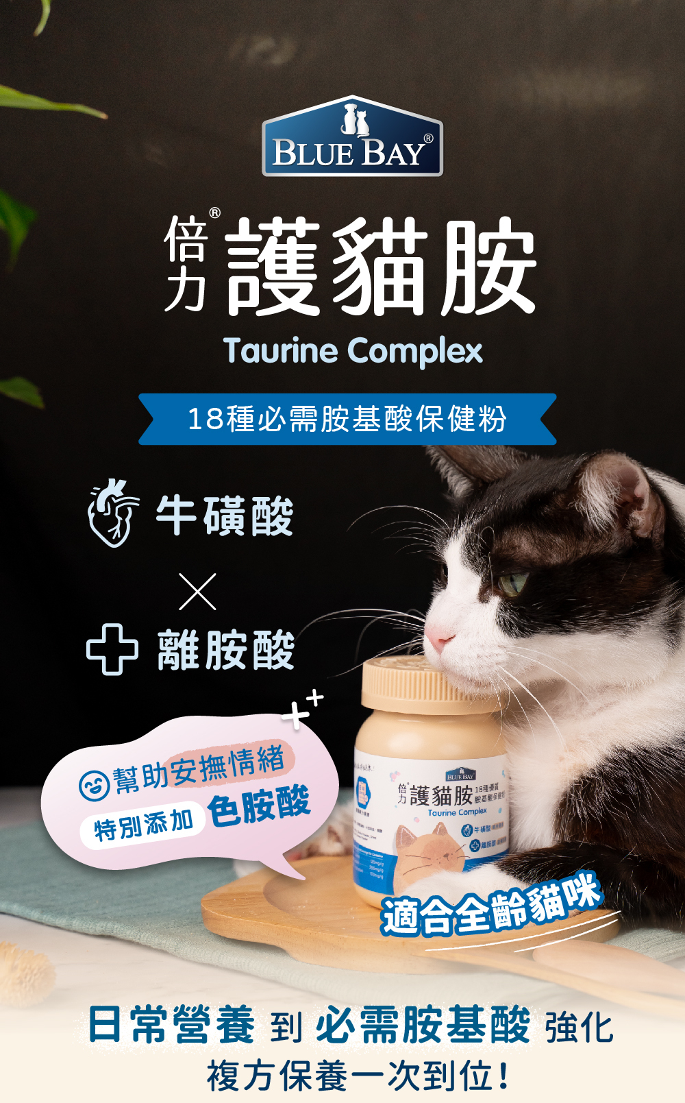 Blue Bay倍力®護貓胺 (18種必須胺基酸) 80g