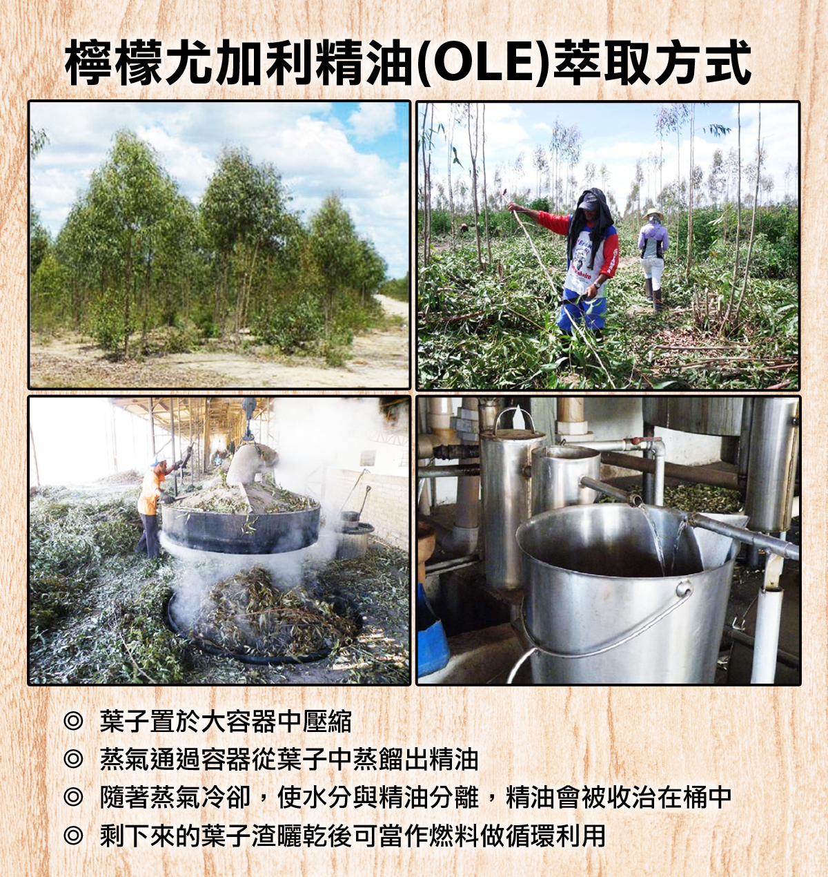 【防蚊液專用】1Ｌ 一公升環保補充瓶 天然PMD長效防蚊液