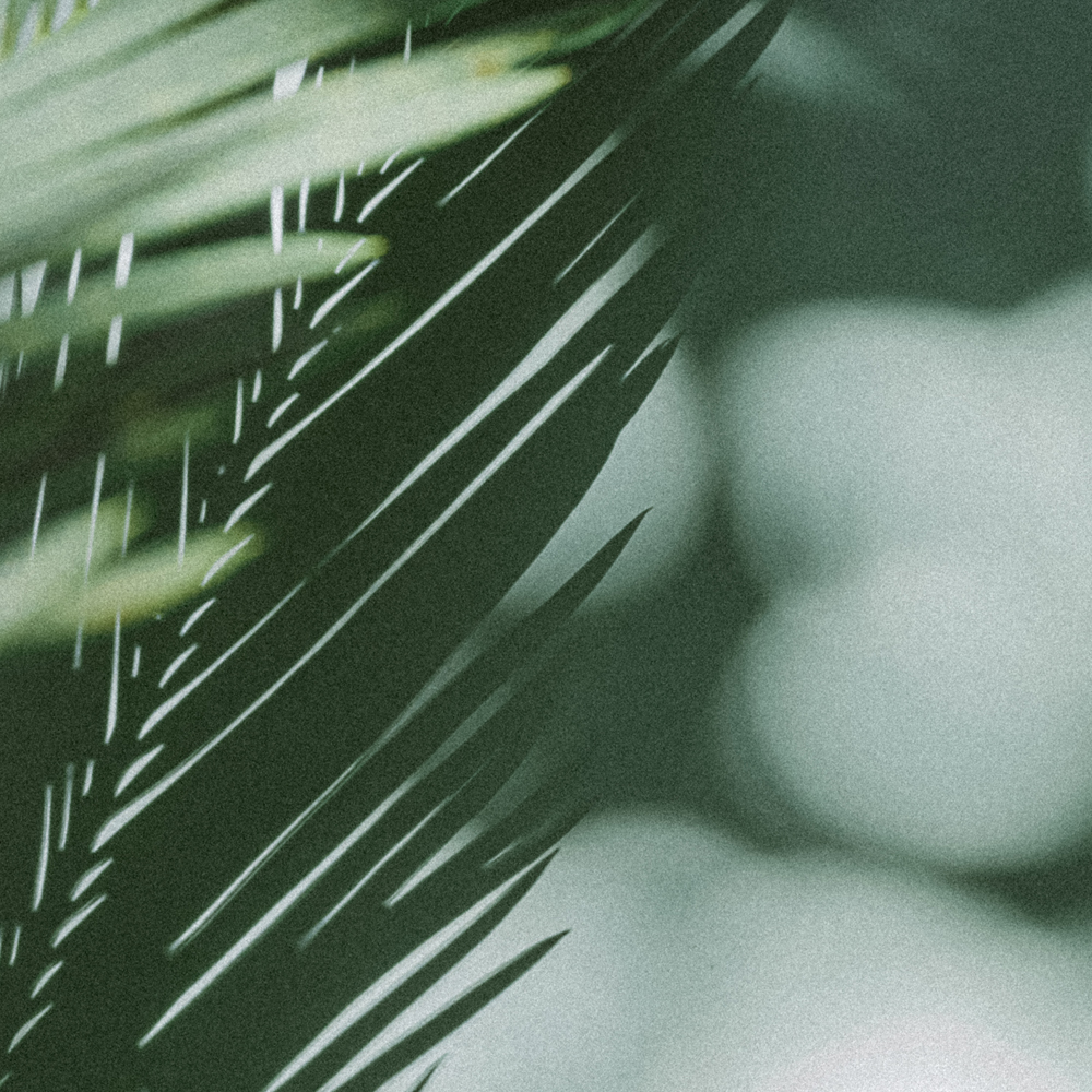 earthy kiss, skincare, skincare ritual, skin types, 護膚, 護膚品, 護膚步驟