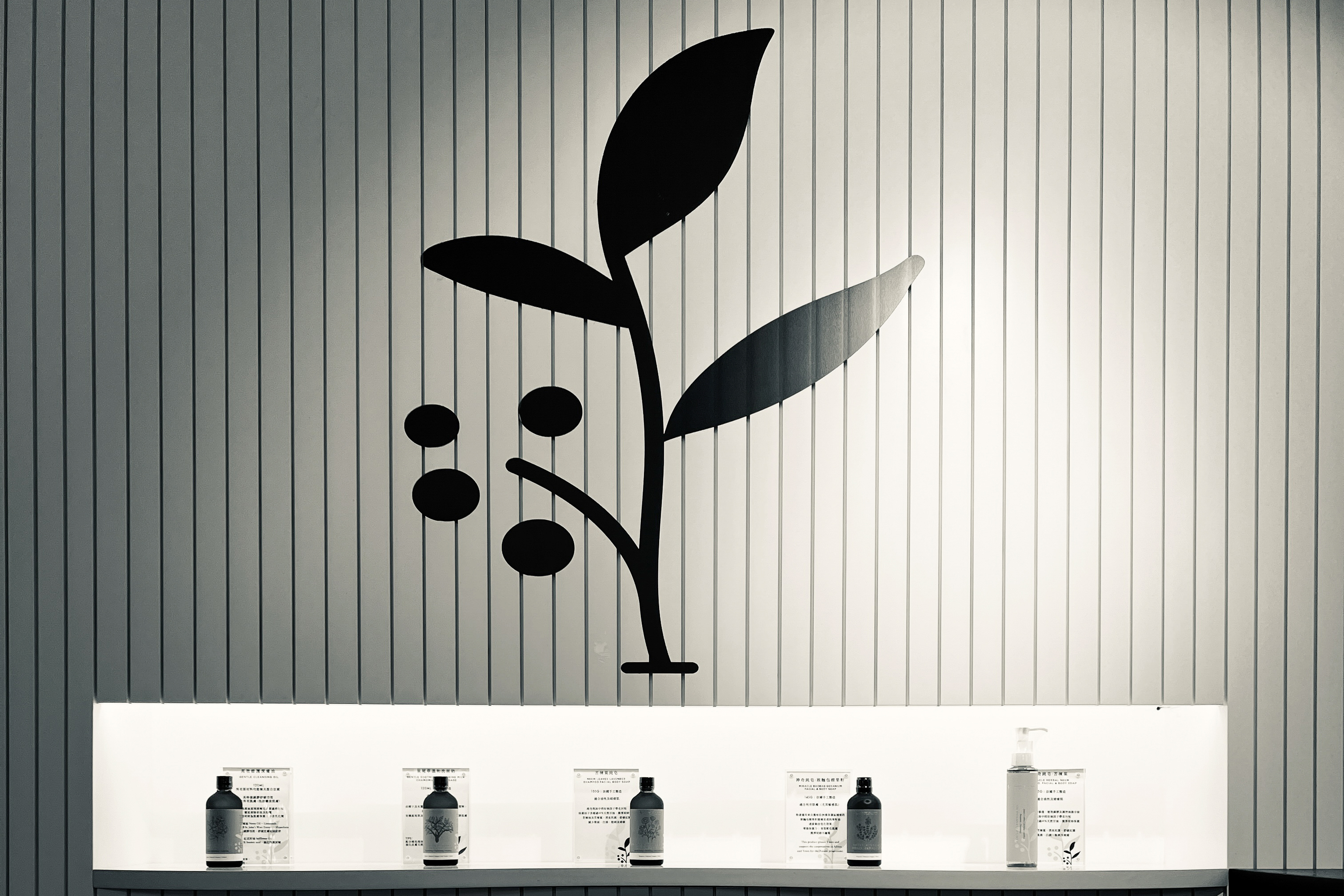 earthy kiss, store location, causeway bay, facesss, 銅鑼灣