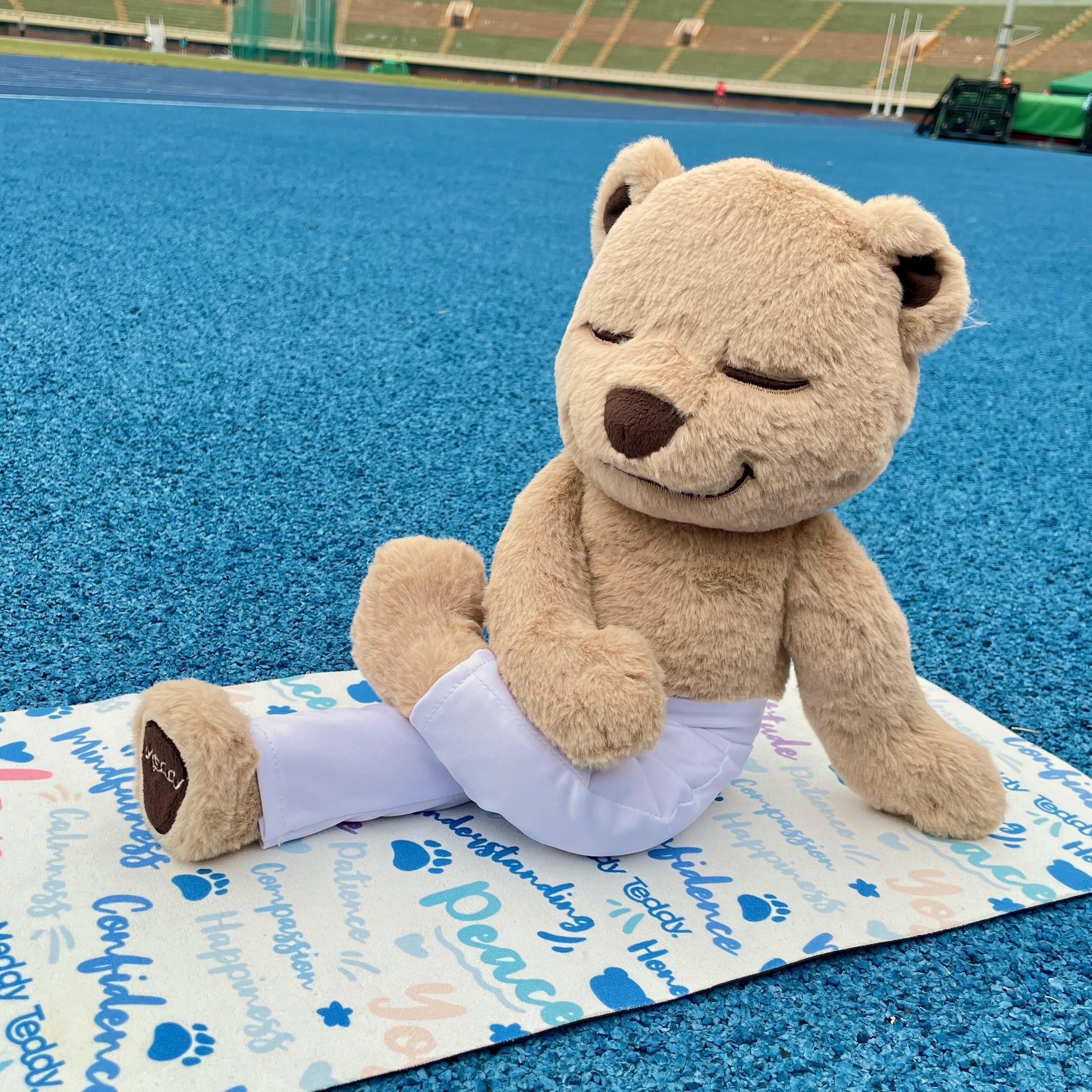 原廠授權Meddy Teddy冥想瑜珈熊